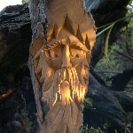 Grzegorz Wydra
