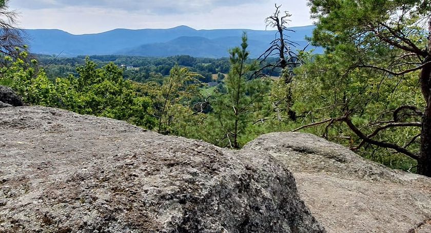 Zdjęcie   - fotografia