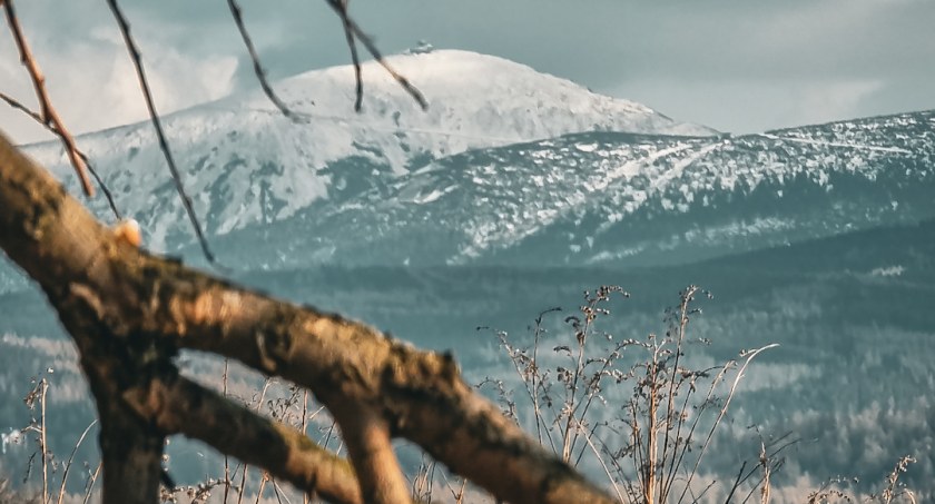 Zdjęcie Robert Kotecki - fotografia