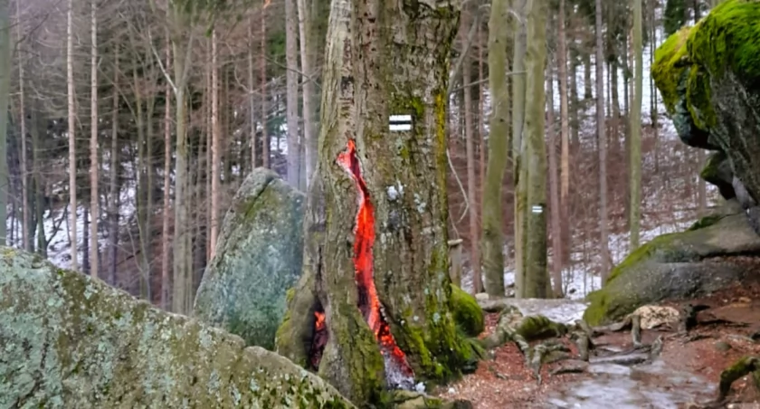 foto: Karkonoski Park Narodowy