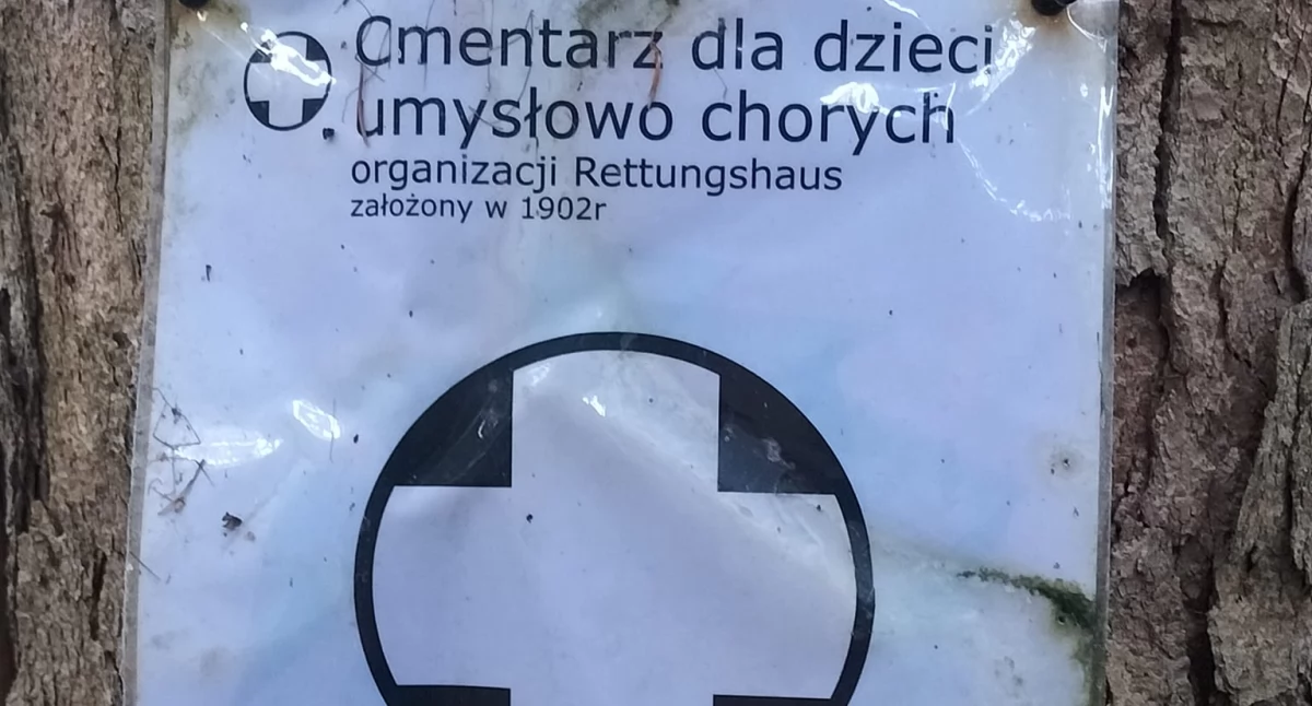 Ruiny, Zapomniany cmentarz dzieci Szklarskiej Porębie - zdjęcie, fotografia