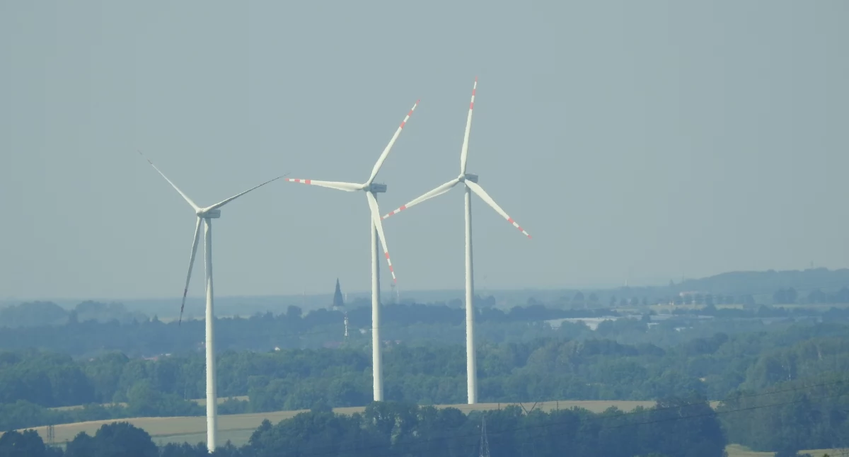 Wiadomości, Dolny Śląsk szansę stać wiatrowym zagłębiem - zdjęcie, fotografia