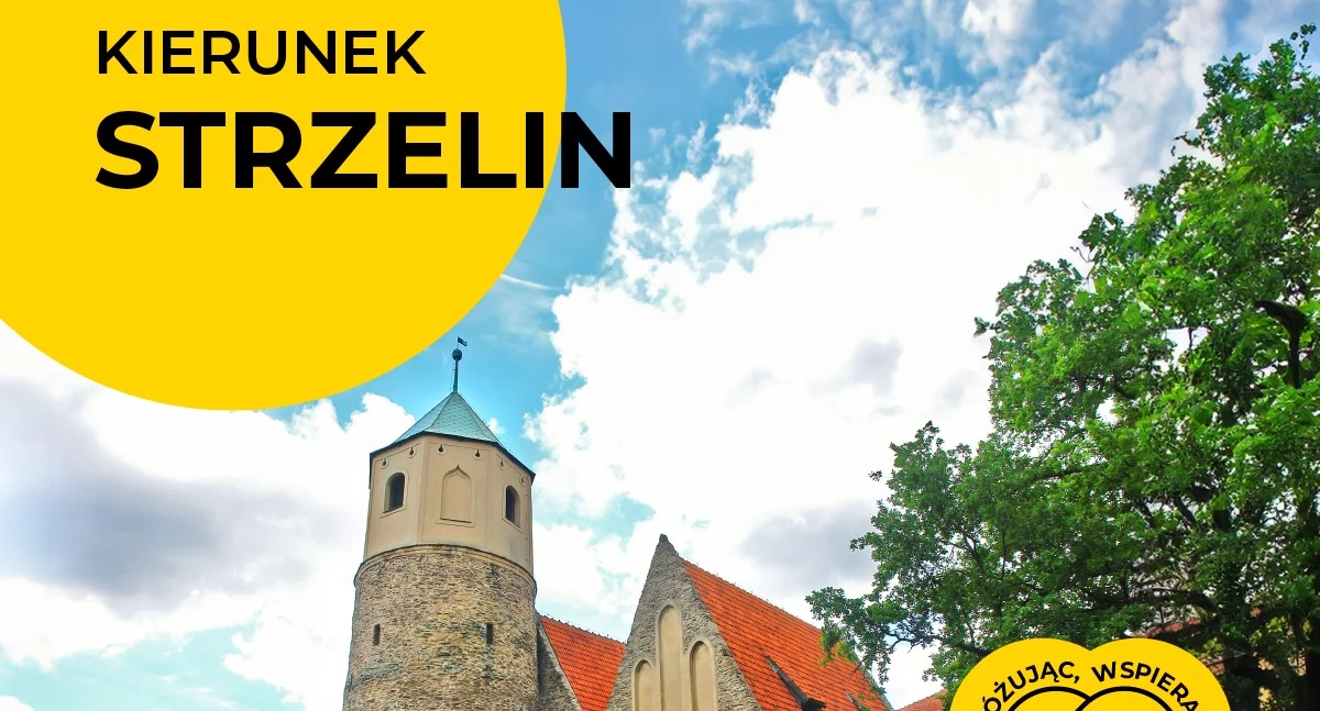 wycieczki kolejowe, Kolejami Dolnośląskimi Strzelina - zdjęcie, fotografia