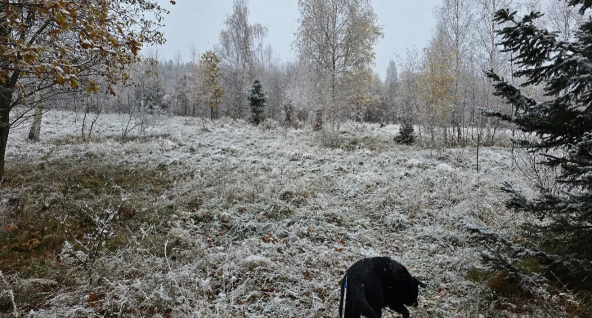 Wiadomości, Karkonoszach spadł śnieg! sobie znać - zdjęcie, fotografia