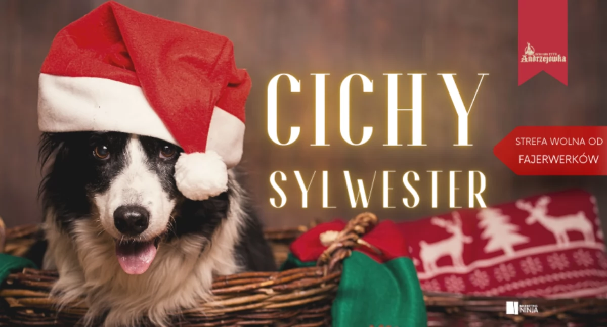 Imprezy masowe, Cichy Sylwester Andrzejówce - zdjęcie, fotografia