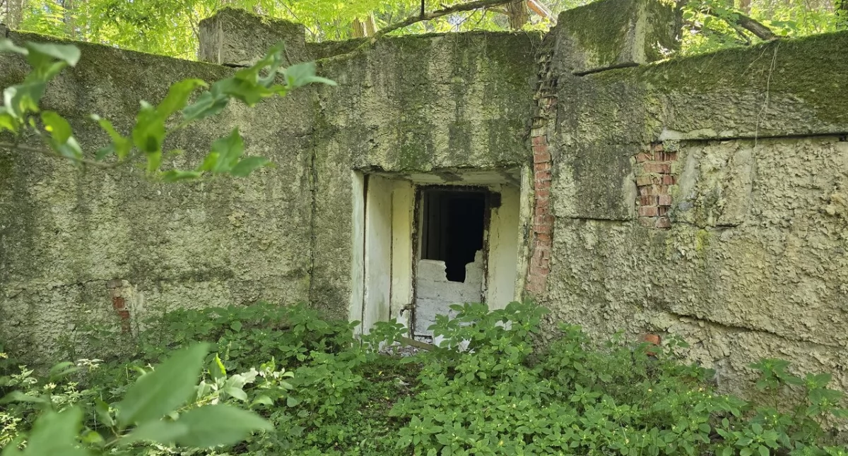 Ruiny, Tajemnicze podziemia zimnej wojny Sekrety Wilkocinie - zdjęcie, fotografia