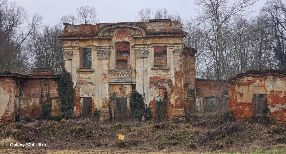 Ruiny, Barokowa Perła Śląska Siedlcach Historia Pałacu który Przyciągał Arystokrację - zdjęcie, fotografia