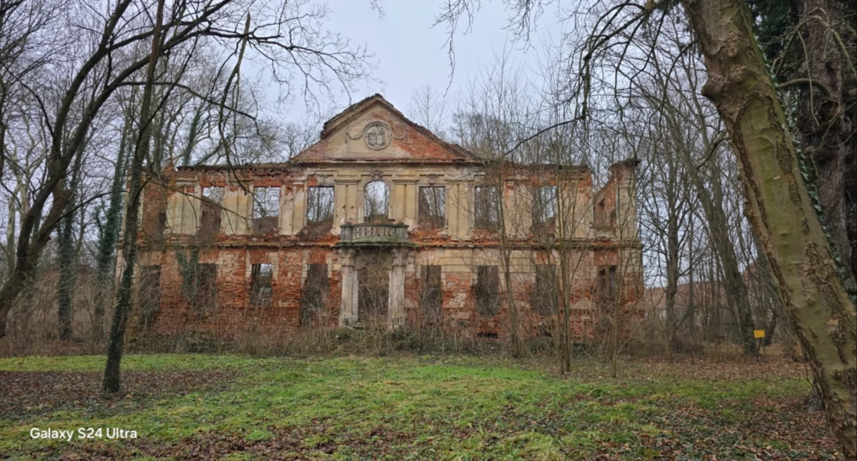 Ruiny, Pałac Zaborowie historia zapisana ruinach - zdjęcie, fotografia