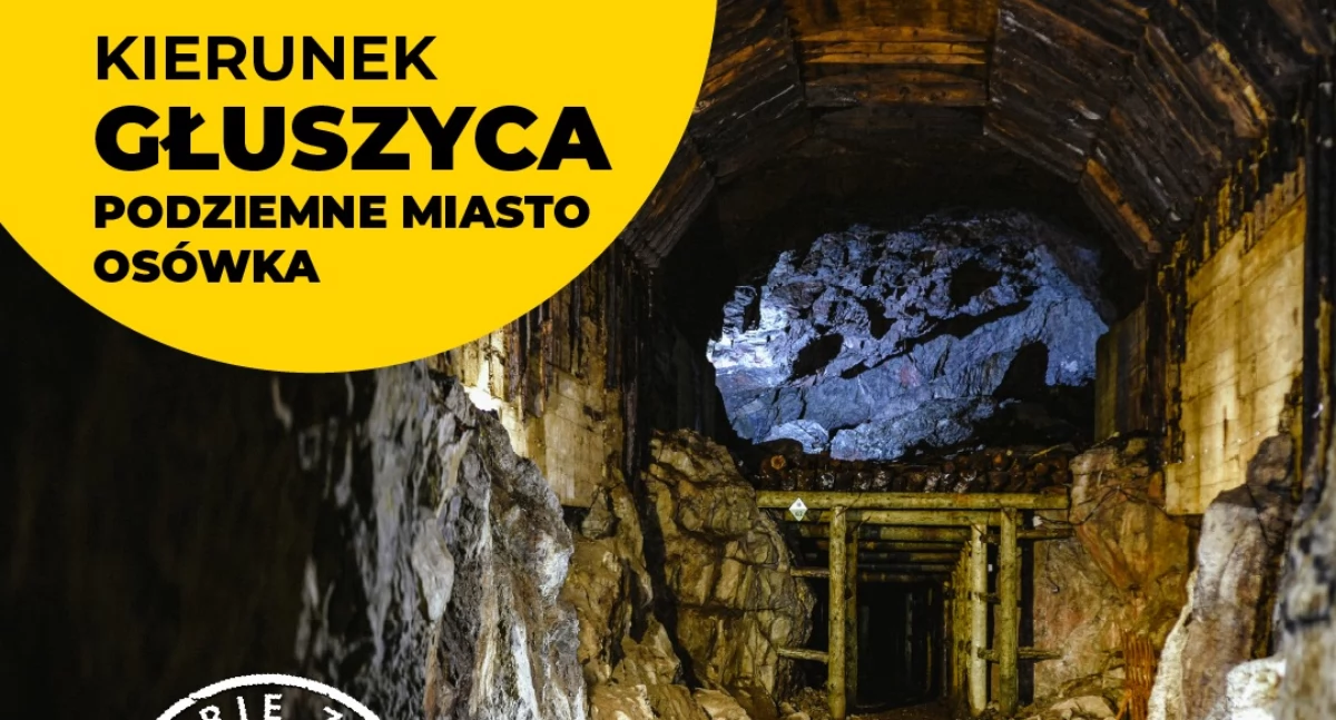 wycieczki kolejowe, Kierunek Głuszyca Wycieczka Kolejami Dolnośląskimi - zdjęcie, fotografia