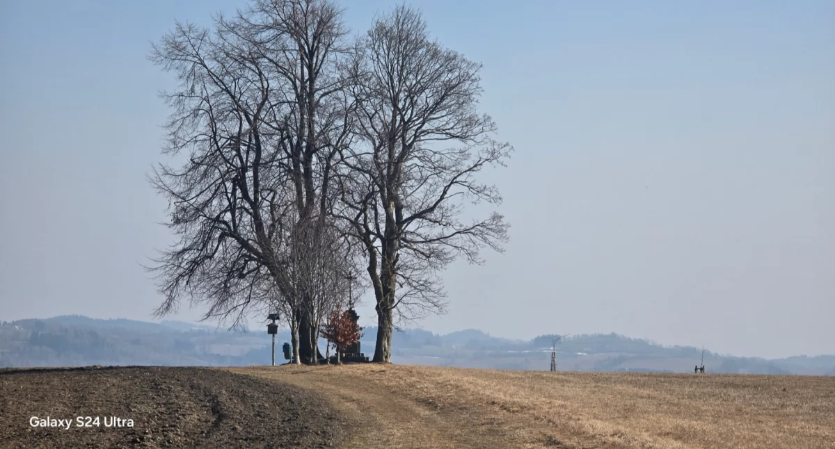 Historia Karkonoszy, Márinkův kříž tajemnica krzyża wzgórzu - zdjęcie, fotografia
