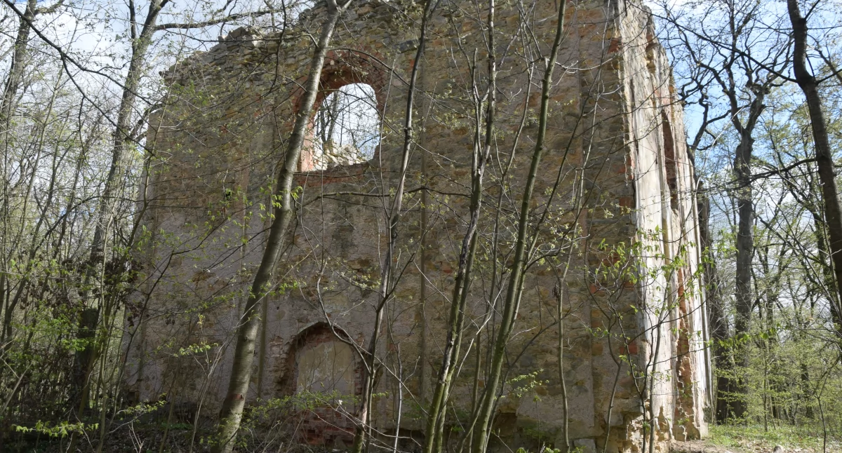 Ruiny, wzgórzu gdzie zamilkły dzwony Ruiny kaplicy Wawrzyńca Cerekvice Bystrzycą (Cerekvice Bystřici) - zdjęcie, fotografia