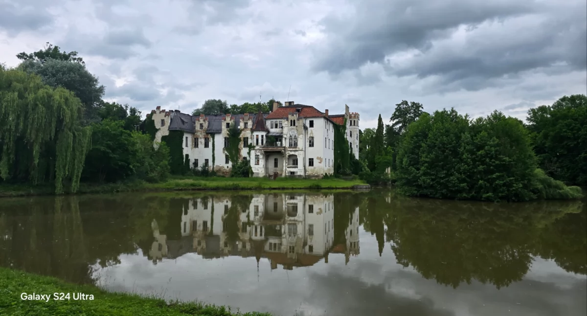 Pałace, Pałac Dobrocinie historia krawędzi zapomnienia - zdjęcie, fotografia