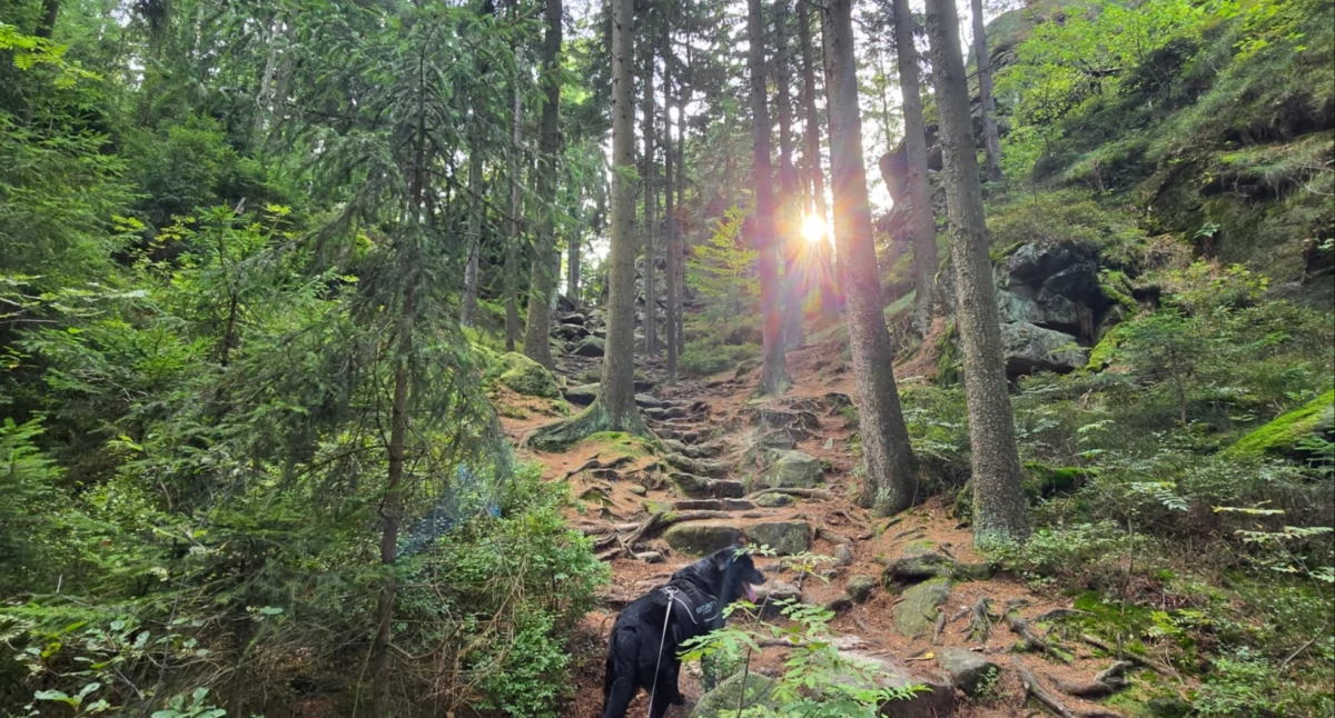 Wycieczki Piesze, Orgelsteig szlakiem kamiennych organów legend Jonsdorfu - zdjęcie, fotografia