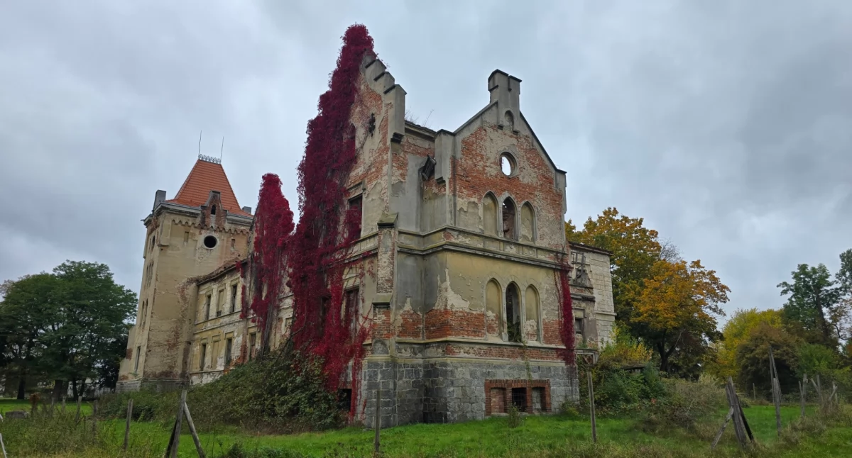 Ruiny, Pałac Gałowie śladami dolnośląskiej arystokracji - zdjęcie, fotografia