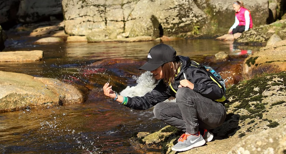 Wiadomości, Jesienny Harrachov zaprasza Halloween dyniowe szaleństwo - zdjęcie, fotografia