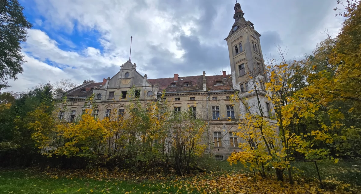 Pałace, Niechciany spadek przeszłości Pałac Jędrzychowie - zdjęcie, fotografia