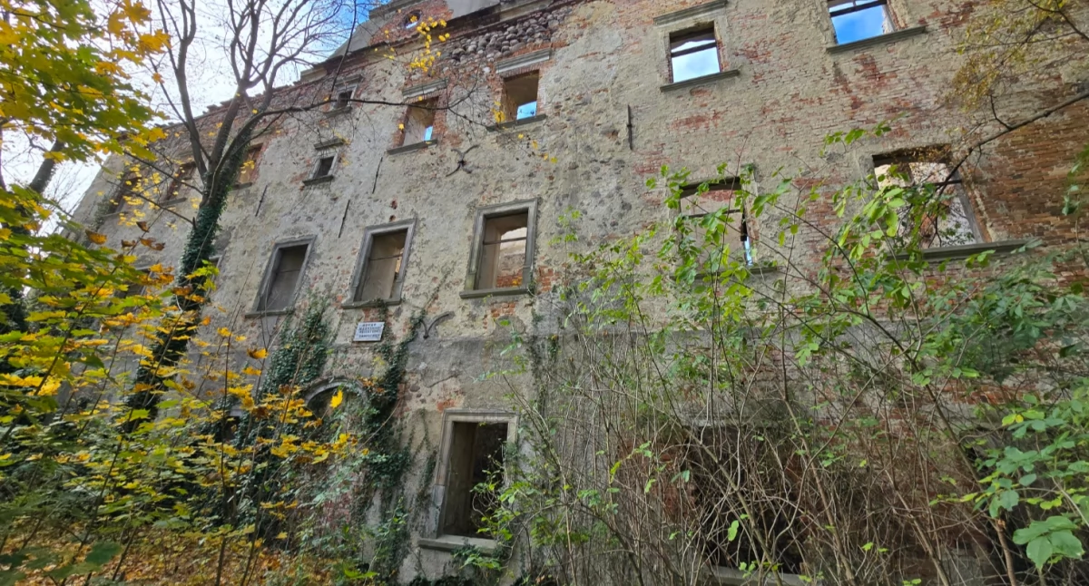 Ruiny, Ruiny zamku Chocianowcu świadek przemijającej świetności - zdjęcie, fotografia