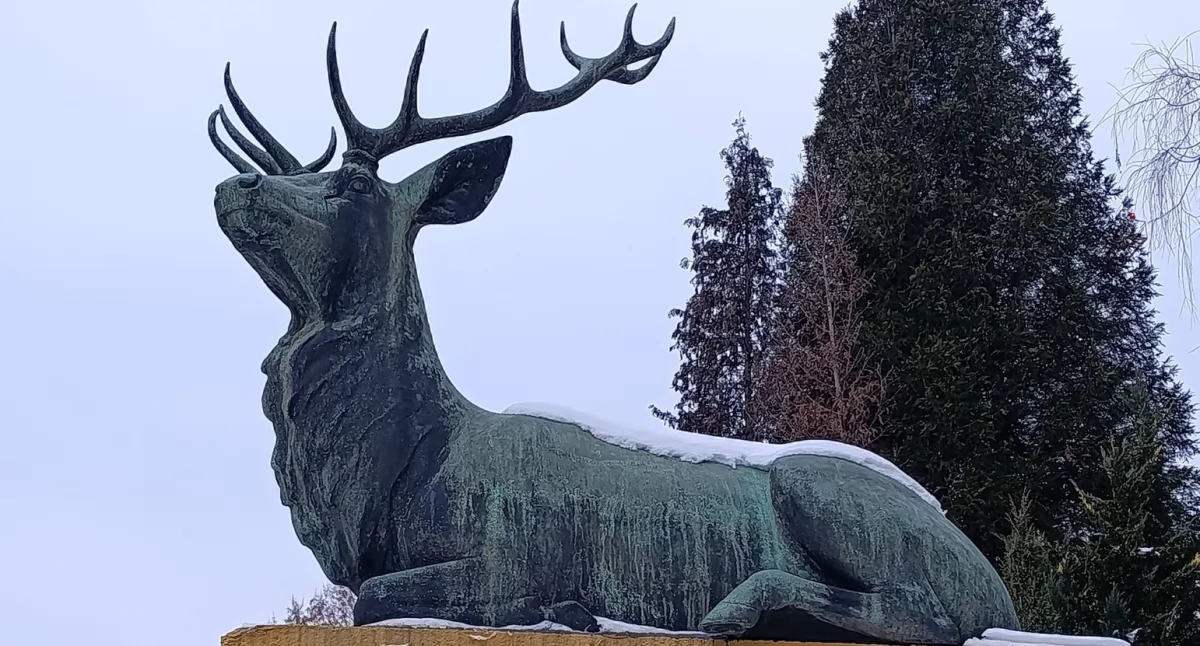 Pomniki, Jeleniogórskie jelenie przetrwały kilka Historia rzeźb dawnej jednostki wojskowej - zdjęcie, fotografia