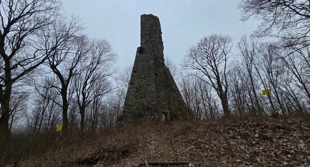 Ruiny, Grodziszcze Zapomniana wieża widokowa skraju Wzgórz Włodzickich - zdjęcie, fotografia