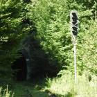 Fotka nr 5 z 16