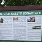 Fotka nr 4 z 10