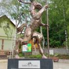 zdjęcie nr 7