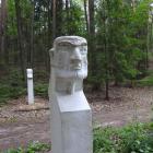 zdjęcie nr 23