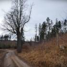 Fotka nr 5 z 28