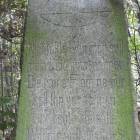 Fotka nr 3 z 14