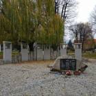 zdjęcie nr 33