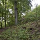 zdjęcie nr 32