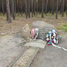 zdjęcie nr 71