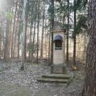 zdjęcie nr 13