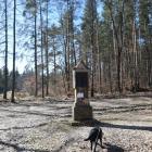 zdjęcie nr 27