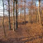 zdjęcie nr 33
