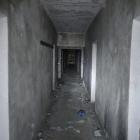 Fotka nr 5 z 39