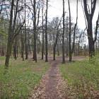zdjęcie nr 59