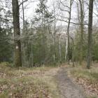 Fotka nr 1 z 12