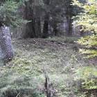 zdjęcie nr 7