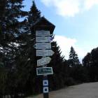 zdjęcie nr 20