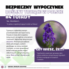 zdjęcie nr 10