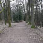 zdjęcie nr 11