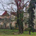 zdjęcie nr 