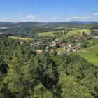 zdjęcie nr 8
