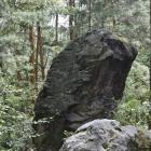 zdjęcie nr 19