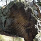 zdjęcie nr 25