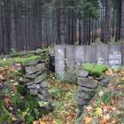 zdjęcie nr 35