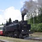 zdjęcie nr 13