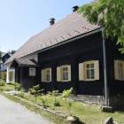 zdjęcie nr 11