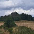 zdjęcie nr 17